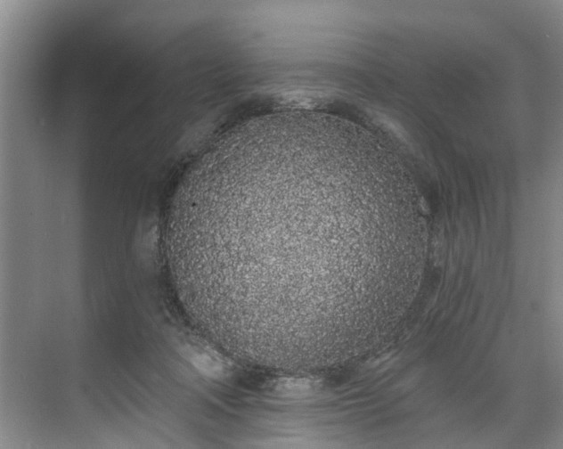 X0000071770314200607071308