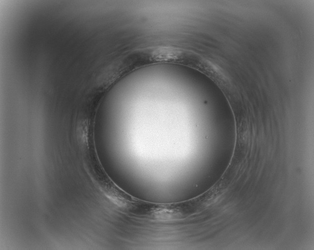 X0000071770315200607071308