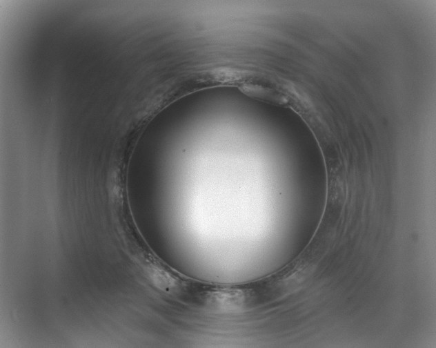 X0000071770317200607071308