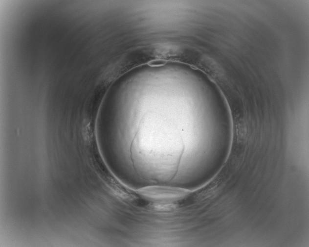 X0000071770327200607071308