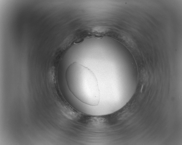 X0000071770328200607071308