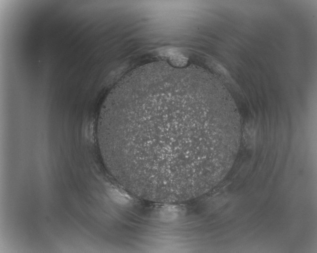 X0000071770330200607071308