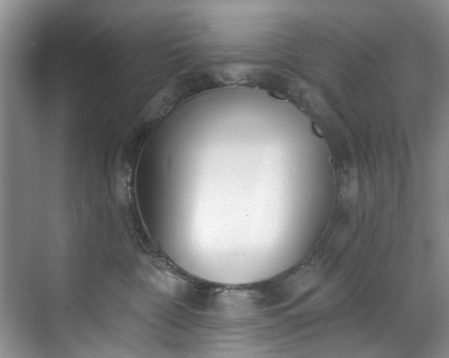 X0000071770332200607071308