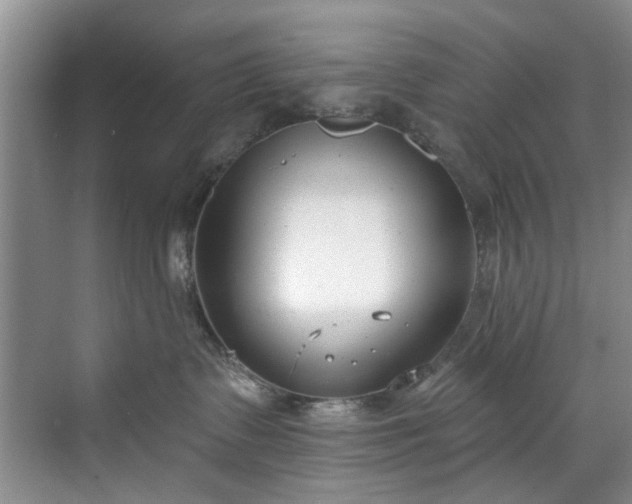 X0000071770335200607071308