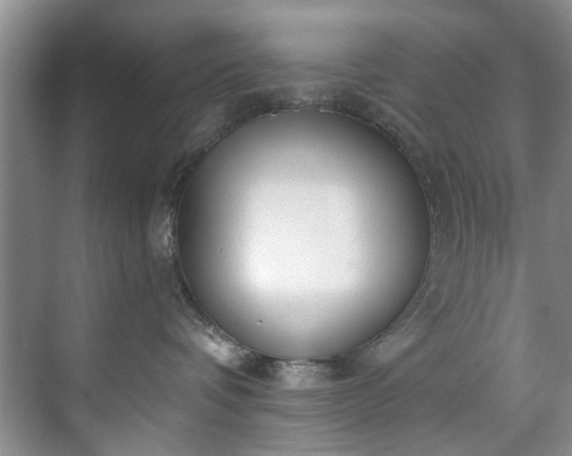 X0000071770336200607071308