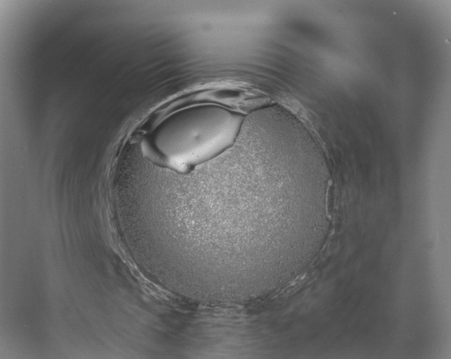 X0000071770337200607071307