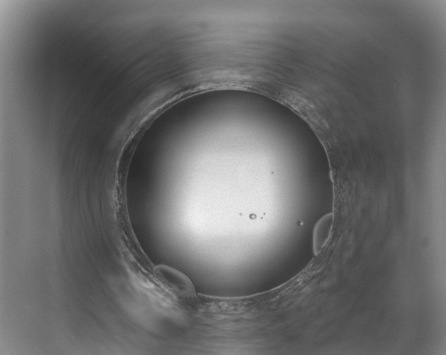 X0000071770338200607071307