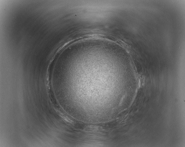 X0000071770339200607071307