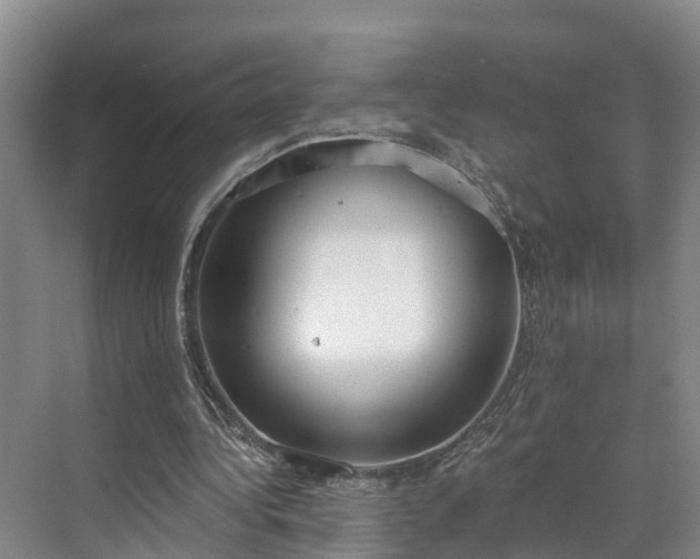 X0000071770340200607071307