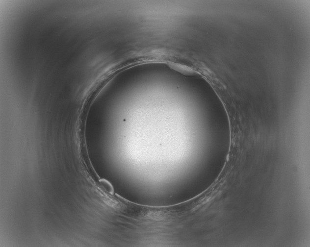 X0000071770341200607071307