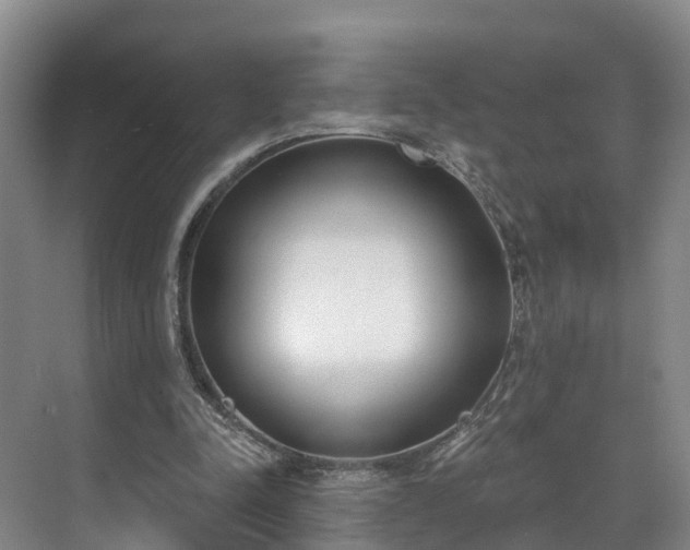 X0000071770342200607071307