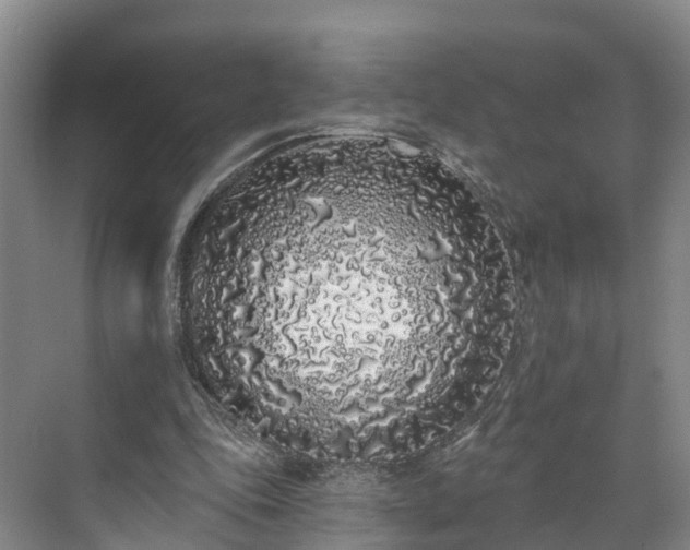 X0000071770343200607071307