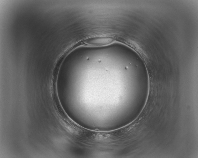 X0000071770346200607071307