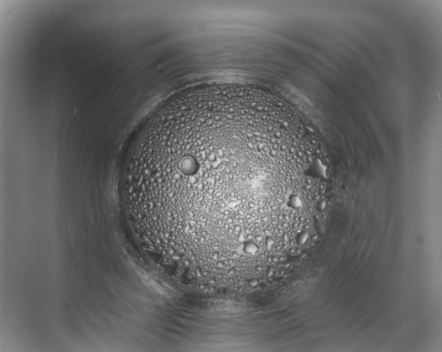 X0000071770347200607071307