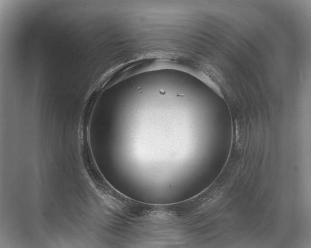 X0000071770348200607071307