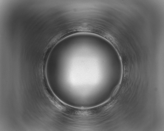 X0000071770349200607071307