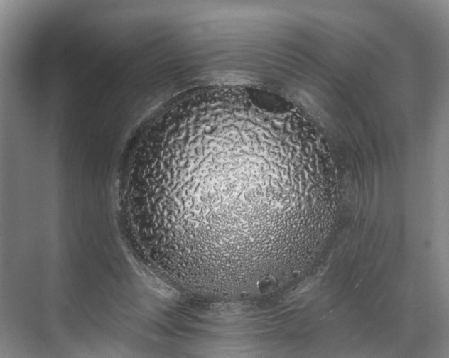 X0000071770351200607071307