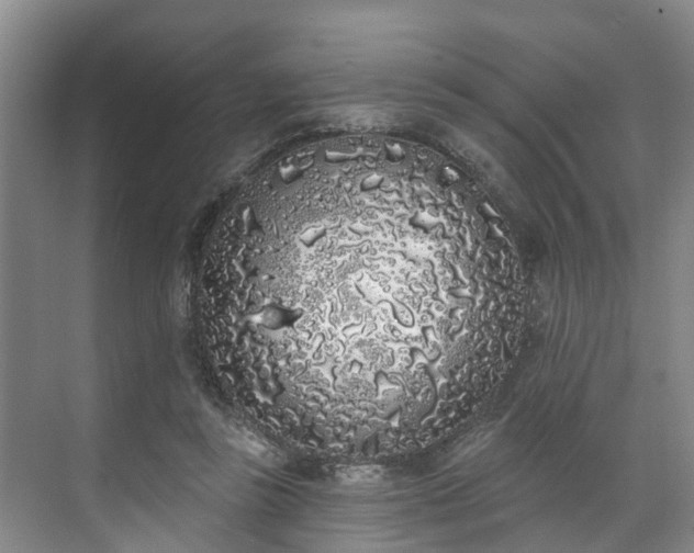 X0000071770355200607071307