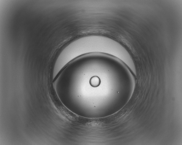 X0000071770356200607071307