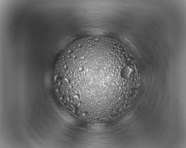 X0000071770359200607071307