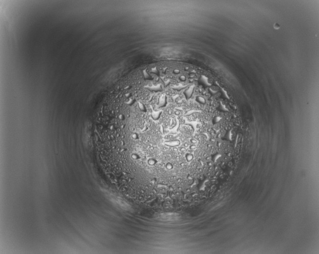 X0000071770361200607071307