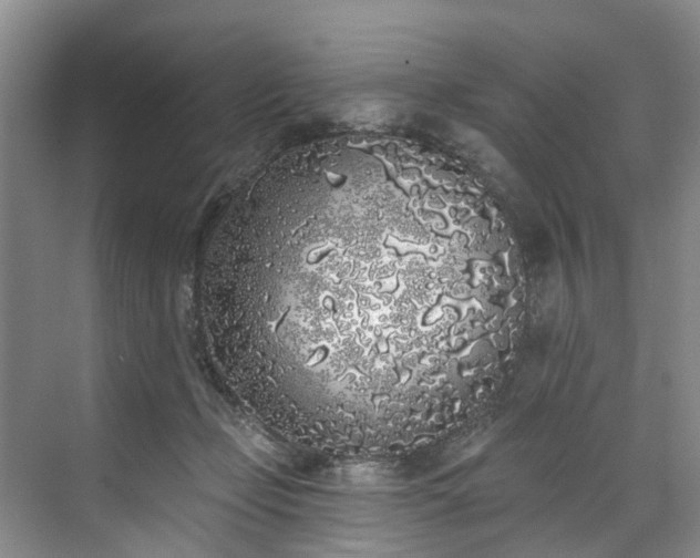 X0000071770365200607071308