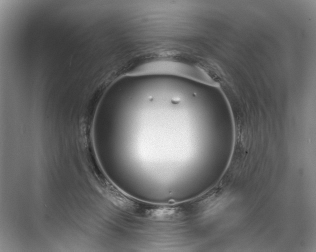 X0000071770366200607071308