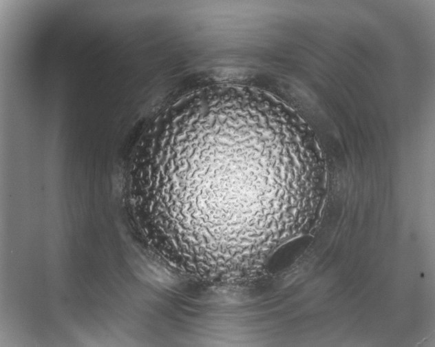 X0000071770367200607071308