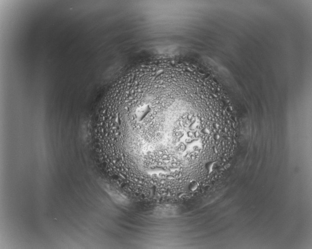 X0000071770369200607071308