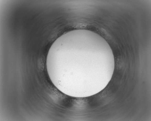 X0000071770370200607071308