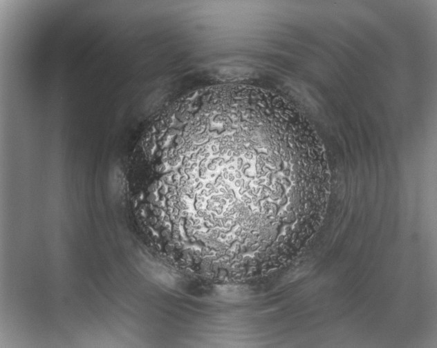 X0000071770371200607071308