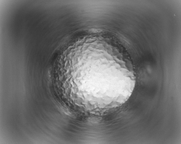 X0000071770373200607071308