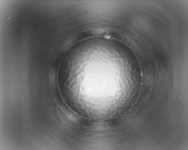 X0000071770375200607071308