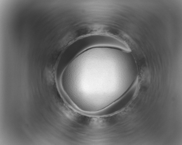 X0000071770376200607071308