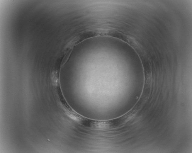 X0000071770383200607071308