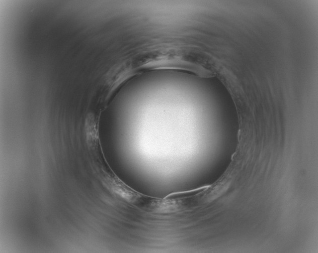 X0000071770384200607071308