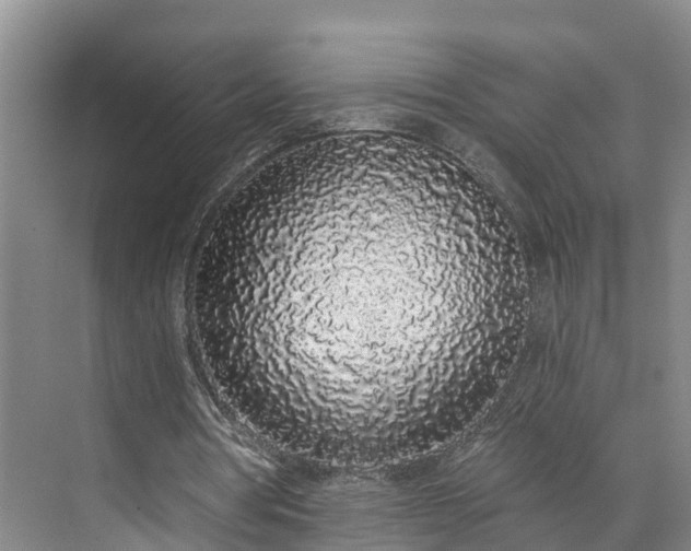 X0000071770386200607071307