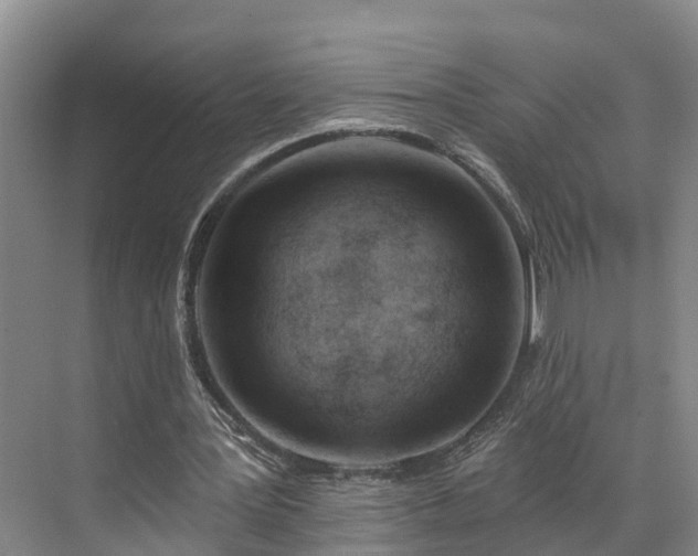 X0000071770387200607071307