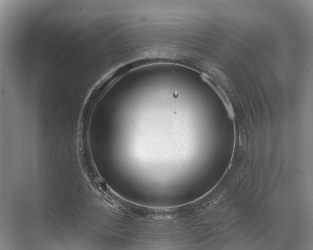 X0000071770388200607071307