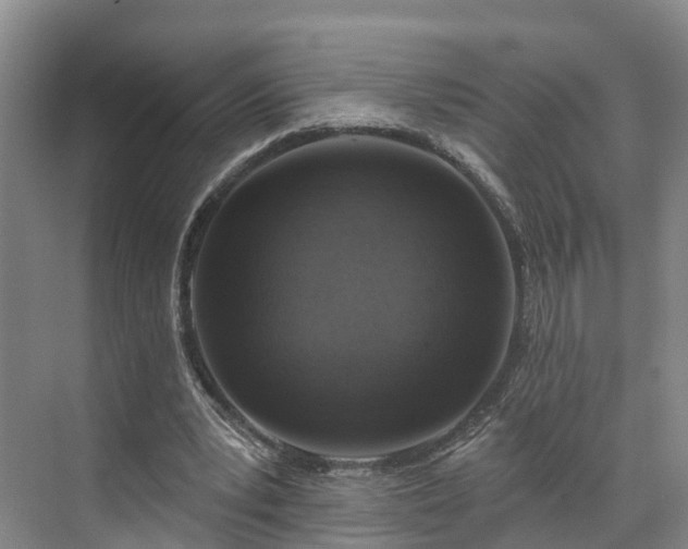 X0000071770391200607071307