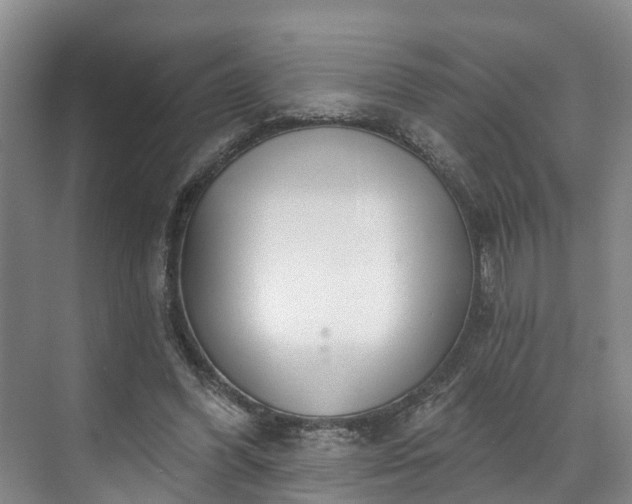 X0000071770396200607071307