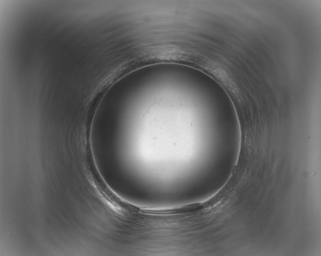 X0000071770397200607071307