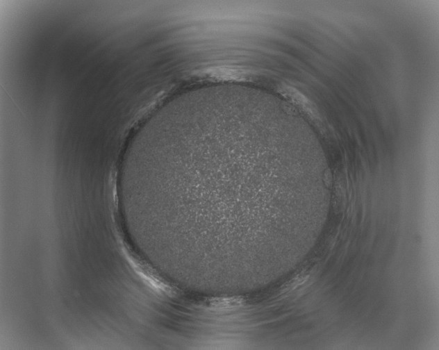 X0000071770398200607071307