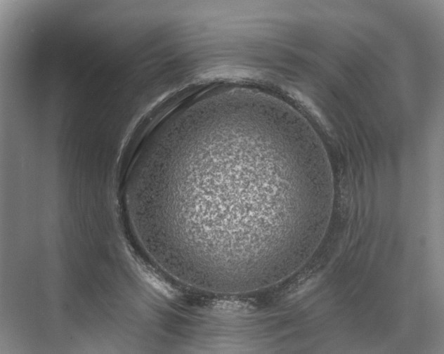 X0000071770399200607071307