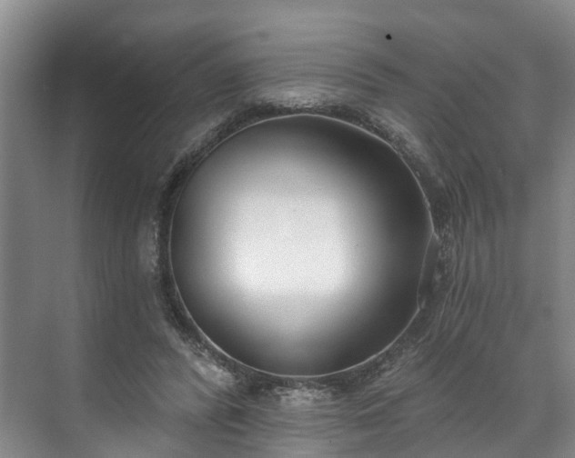 X0000071770400200607071307