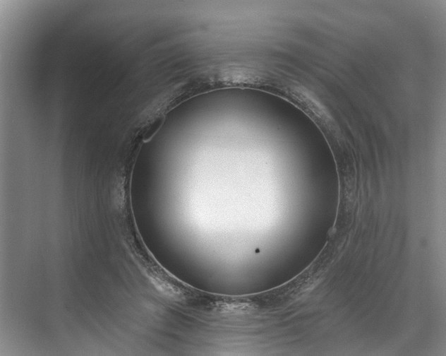 X0000071770401200607071307