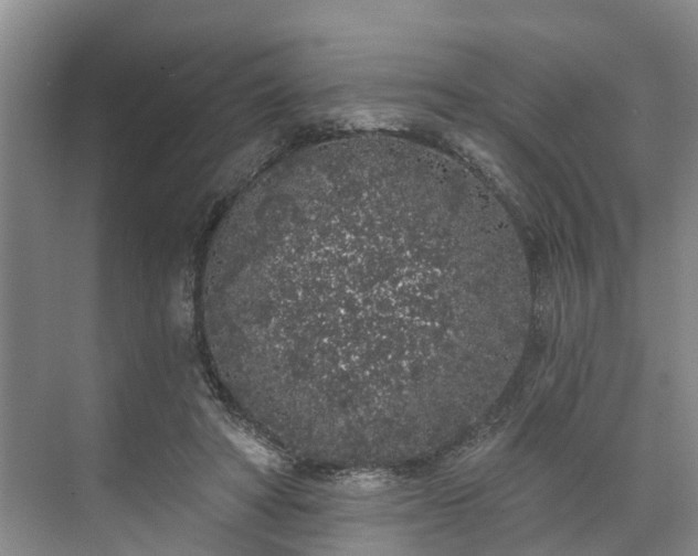 X0000071770402200607071307