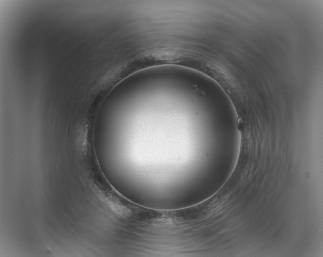 X0000071770404200607071307