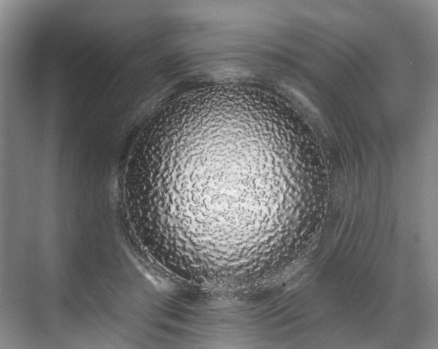 X0000071770405200607071307