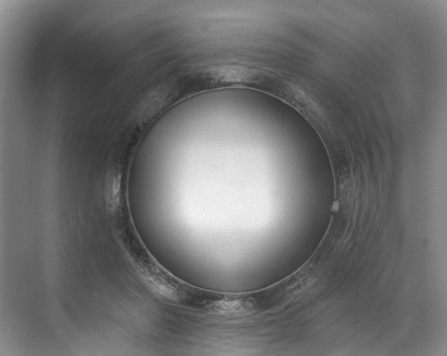 X0000071770406200607071307